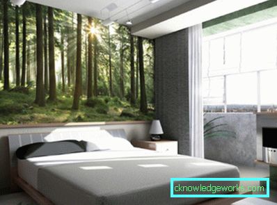Foto: 3D-Wallpaper werden definitiv neue Eindrücke in Ihr Leben bringen