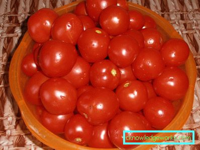 Elektrischer Tomatenpresse Elektrischer Tomatenpresse