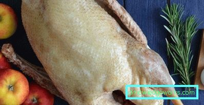 358-Ofen gebackene Gans Rezept