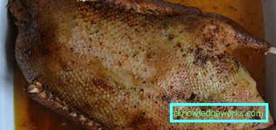 358-Ofen gebackene Gans Rezept