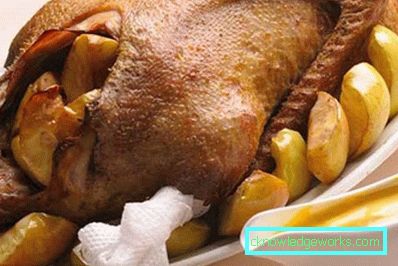 358-Ofen gebackene Gans Rezept