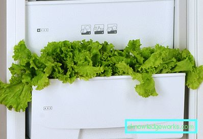 Top Gefrierschrank Kühlschränke Top Gefrierschrank Kühlschränke