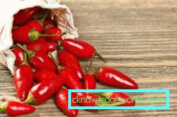 340-Paprika anbauen