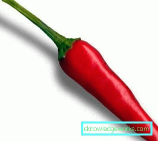 340-Paprika anbauen