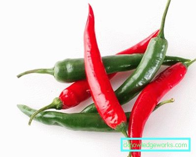340-Paprika anbauen