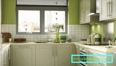 370-Lime Color Kitchen - 95 Fotooptionen