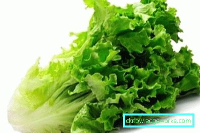 209 Blattsalat