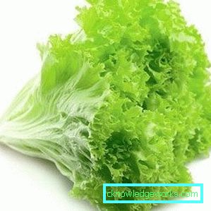 209 Blattsalat