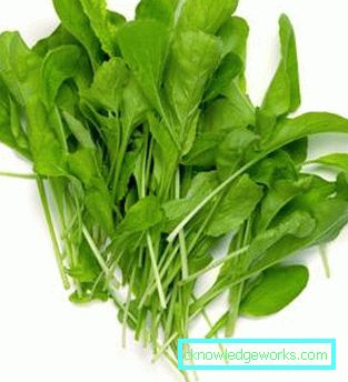 209 Blattsalat