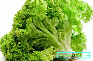 209 Blattsalat