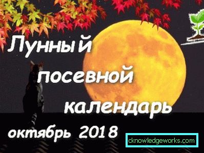 212-Mond-Kalender für Gärtner
