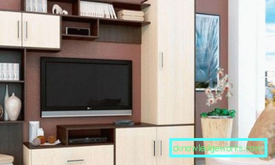70-Mini-Wände für das Wohnzimmer - 100 Fotos