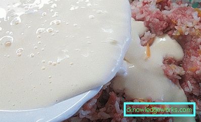 176-Fleisch-Auflauf in den Ofen und