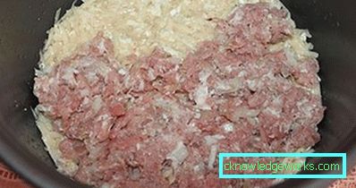176-Fleisch-Auflauf in den Ofen und