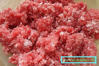 176-Fleisch-Auflauf im Ofen und