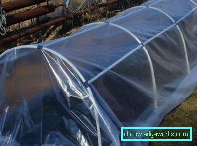305-Gewächshaus DIY