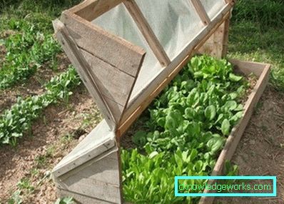 305-Gewächshaus DIY