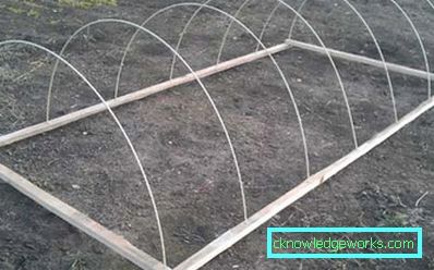 305-Gewächshaus DIY