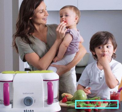 Mixer Dampfer für Babynahrung von bekannten Marken Mixer Dampfer für Babynahrung von bekannten Marken