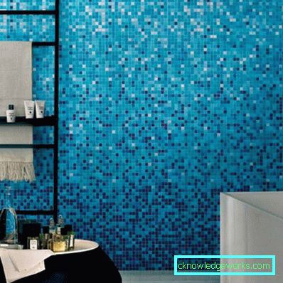 12 Fliesen für das Badezimmer - 100 Fotos