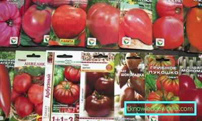 178-Tomaten im Freien pflanzen
