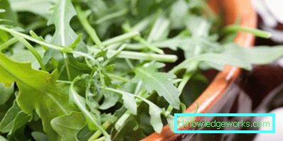 225-Rucola