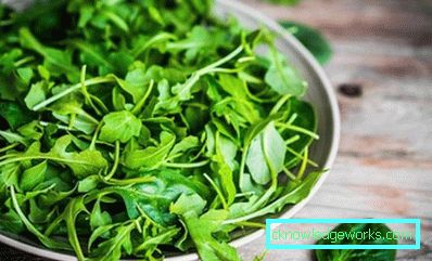 225-Rucola
