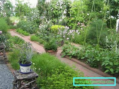 83-Garten und Garten mit ihren eigenen Händen