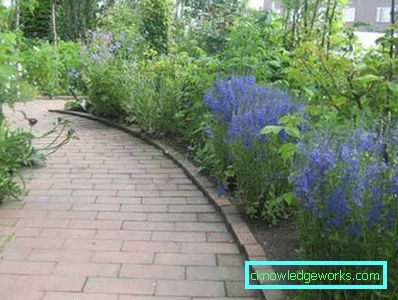 83-Garten und Garten mit ihren eigenen Händen