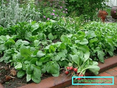 83-Garten und Garten mit ihren eigenen Händen