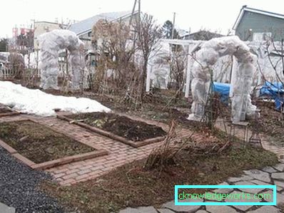 83 Garten und Garten mit ihren eigenen Händen