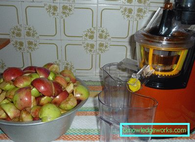 Entsafter mit großem Fassungsvermögen für Äpfel Entsafter mit großem Fassungsvermögen für Äpfel