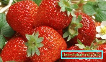 252-Sorten und Arten von Erdbeeren