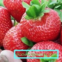 252-Sorten und Arten von Erdbeeren