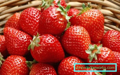 252-Sorten und Arten von Erdbeeren