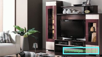 Die Wand im Wohnzimmer - 100 Fotos der besten Wände im Innenraum des Wohnzimmers Die Wand im Wohnzimmer - 100 Fotos der besten Wände im Innenraum des Wohnzimmers