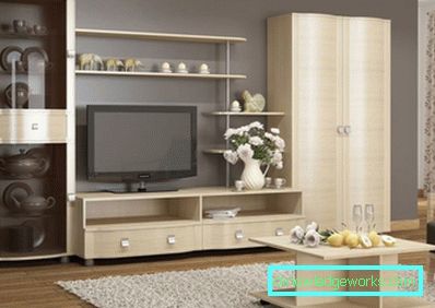 Die Wand im Wohnzimmer - 100 Fotos der besten Wände im Innenraum des Wohnzimmers Die Wand im Wohnzimmer - 100 Fotos der besten Wände im Innenraum des Wohnzimmers