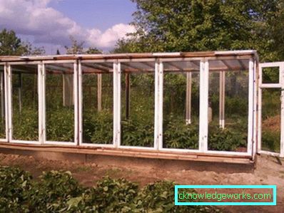Die Details der Herstellung von Gewächshäusern aus Fensterrahmen Die Details der Herstellung von Gewächshäusern aus Fensterrahmen