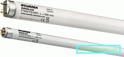 Gewächshäuser: Typen, Geräte und Ausrüstung Gewächshäuser: Typen, Geräte und Ausrüstung