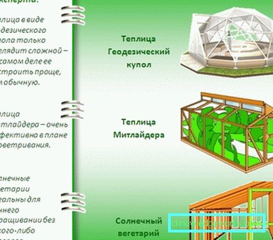 Gewächshäuser: Typen, Geräte und Ausrüstung Gewächshäuser: Typen, Geräte und Ausrüstung