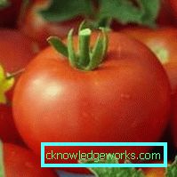 158 weiße Fülltomate