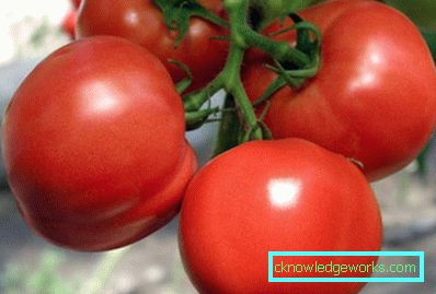 179-Tomaten-Jamal