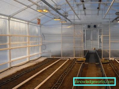 Gewächshaus-Thermoskanne: Wie ist sie angeordnet und wie kann man sie selbst herstellen? Gewächshaus-Thermoskanne: Wie ist sie angeordnet und wie kann man sie selbst herstellen?
