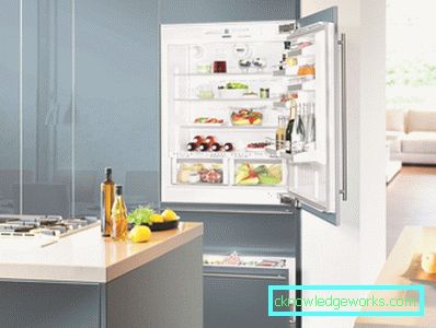Eingebauter Kühlschrank Eingebauter Kühlschrank